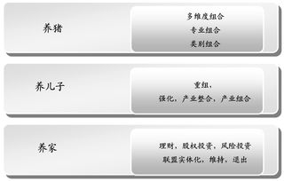 华彩管理咨询 基于投资与产业组合战略的集团管控——引领集团类咨询服务