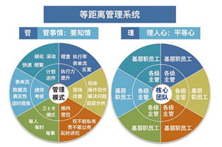 温州企业管理咨询 为何朗欧是您驻厂咨询的卓越之选？