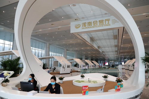 数智赋能新征程 中国自贸区如何助力企业管理升级助推经济高质量发展